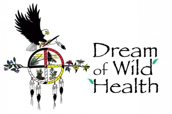 Dream Of Wild Health